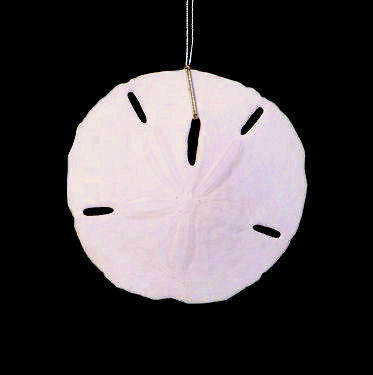 Item 115008 White Sand Dollar Ornament