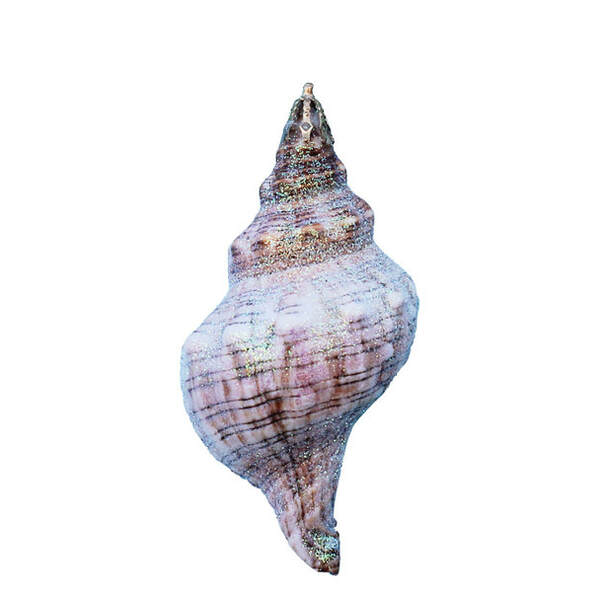 Item 220033 Fox Shell Ornament