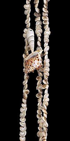 Item 115017 9 Foot White Umbonium Shell Garland