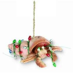 Item 108606 thumbnail Myrtle Beach Hermit Crab Ornament