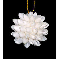 Item 115012 thumbnail Bubble Shell Ball Ornament