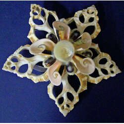 Item 115031 thumbnail Cut Shell Star Shaped Ornament