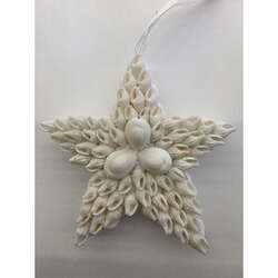 Item 115055 thumbnail White Nassa Star With Annulus Ornament