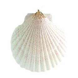 Item 220013 thumbnail White Pecten Shell Ornament