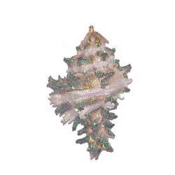 Item 220021 thumbnail Murex Endivia Shell Ornament