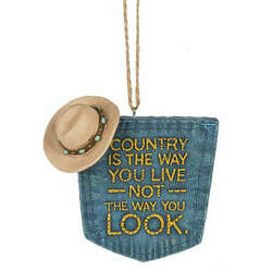 Item 260618 Country Is Way You Live Not Look Ornament
