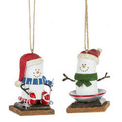 Item 260863 thumbnail Smores Winter Sports Ornament