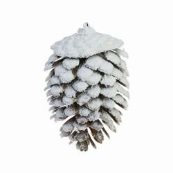 Item 282036 Snowy Pine Cone Ornament