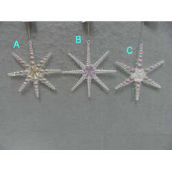 Item 303071 thumbnail Multicolor/Clear Star Ornament