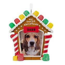 Item 333019 thumbnail My Fur-st Christmas Dated 2025 Ornament