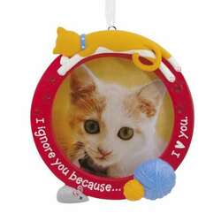 Item 333254 thumbnail Cat Ignore Photo Frame Ornament