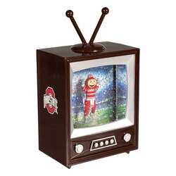 Item 420509 thumbnail Ohio State University TV Water Lantern