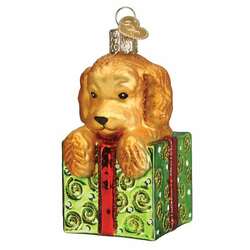 Item 425545 thumbnail Doodle Puppy Surprise Ornament
