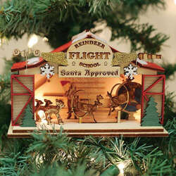 Item 426208 thumbnail Reindeer Flight School