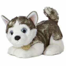 Item 451059 thumbnail Siberian Husky Pup Miyoni