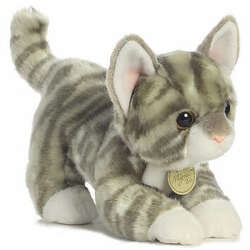 Item 451089 thumbnail Medium Gray Tabby Kitten Miyoni
