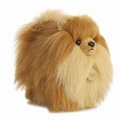 Item 451091 thumbnail Pomeranian Puppy Miyoni