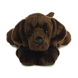 Item 451189 thumbnail Max The Chocolate Lab