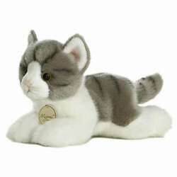 Item 451271 thumbnail Gray Tabby Cat