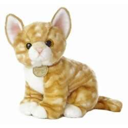 Item 451277 thumbnail Orange Tabby Kitten