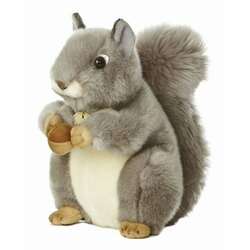 Item 451279 thumbnail Gray Squirrel