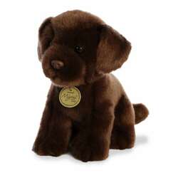 Item 451280 thumbnail Chocolate Lab Pup
