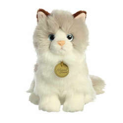 Item 451282 thumbnail Ragdoll Cat