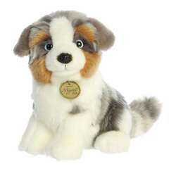 Item 451486 thumbnail Australian Shepherd Pup