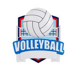 Item 459627 thumbnail Volleyball Ornament