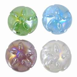 Item 519381 thumbnail Sand Dollar Paper Weight