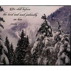 Item 558208 thumbnail Lighted Be Still Before Forest Canvas Print