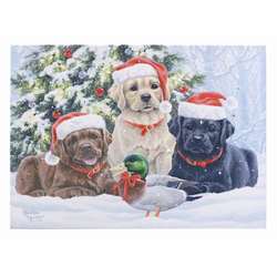 Item 558380 thumbnail Tabletop New Friends Lighted Canvas Print