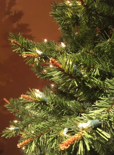 rmp-branches.jpg